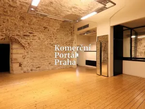 Pronájem restaurace, Praha - Nové Město, Václavské náměstí, 309 m2