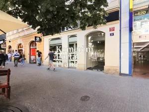 Pronájem restaurace, Praha - Nové Město, Václavské náměstí, 309 m2