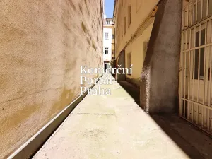 Pronájem obchodního prostoru, Praha - Nové Město, Václavské náměstí, 309 m2