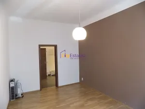 Pronájem bytu 1+kk, Praha - Žižkov, Vlkova, 26 m2