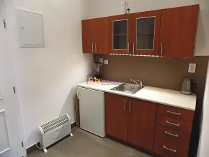 Pronájem bytu 1+kk, Praha - Žižkov, Vlkova, 26 m2