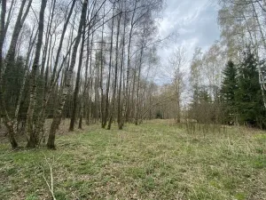 Prodej pozemku, Volfířov - Brandlín, 5958 m2