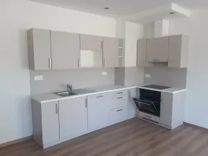 Pronájem bytu 2+kk, Lánov, 54 m2