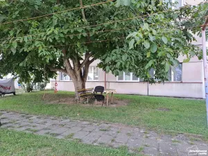 Pronájem bytu 3+kk, Benešov, Dukelská, 78 m2