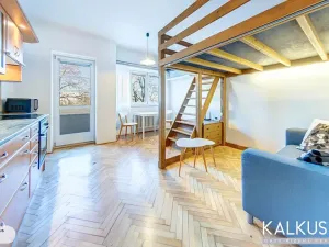 Pronájem bytu 1+kk, Hradec Králové, Smetanovo nábřeží, 27 m2