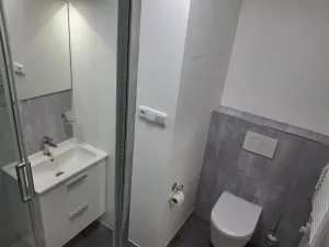 Prodej bytu 1+kk, Most, Javorová, 35 m2