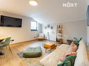 Prodej apartmánu, Staré Město, Sportovní, 57 m2