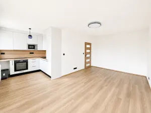 Prodej bytu 1+1, Praha - Záběhlice, Bramboříková, 42 m2
