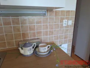 Pronájem bytu 1+kk, Dobřany, 17. listopadu, 19 m2