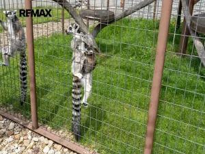 Prodej zemědělské usedlosti, Lipová-lázně, 871 m2