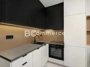 Pronájem bytu 1+kk, Brno, Dornych, 27 m2