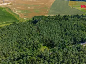 Prodej lesa, Bílá, 57919 m2
