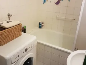 Pronájem bytu 3+kk, Rosice, Kaštanová, 60 m2