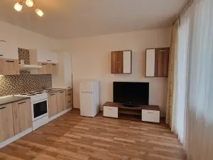 Pronájem bytu 1+kk, Plzeň, Jesenická, 32 m2