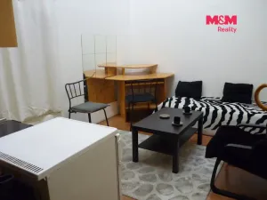 Pronájem bytu 1+kk, Praha - Vinohrady, Mánesova, 17 m2
