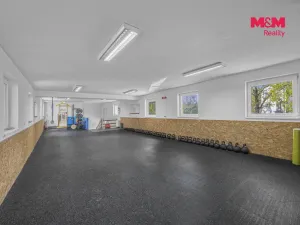 Prodej obchodního prostoru, Hradec Králové - Pražské Předměstí, Seydlerova, 195 m2