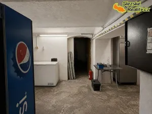 Pronájem skladu, Ostrava, 160 m2