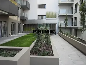 Pronájem bytu 2+kk, Praha - Žižkov, Prokopova, 72 m2