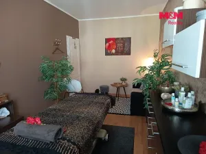 Pronájem bytu 2+kk, Strakonice - Strakonice I, Palackého náměstí, 55 m2