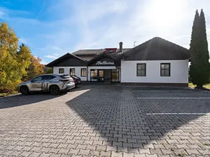 Prodej bytu 2+kk, Železná Ruda, 58 m2