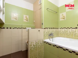 Prodej bytu 3+kk, Ostrava - Moravská Ostrava, Živičná, 68 m2
