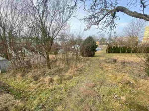 Prodej zahrady, Střížovice, 194 m2