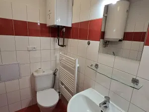 Prodej bytu 1+1, Borotín, 47 m2