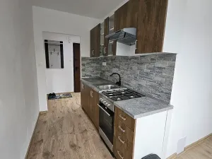Pronájem bytu 1+1, Český Těšín, Okružní, 38 m2