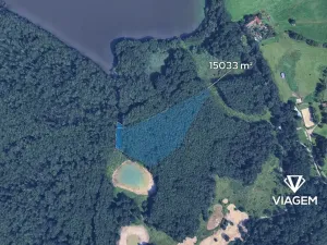 Prodej podílu lesa, České Budějovice, České Vrbné, 1879 m2