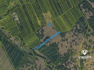 Prodej podílu pole, Kněždub, 4230 m2