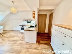 Pronájem bytu 1+kk, Praha - Vinohrady, Šrobárova, 50 m2