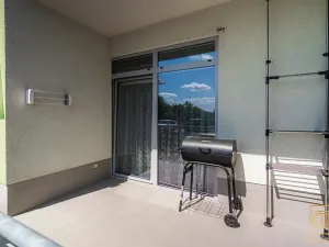 Prodej bytu 2+kk, Brno, Rakovecká, 60 m2
