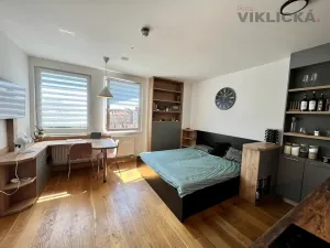 Pronájem bytu 1+kk, Praha - Vinohrady, Perucká, 27 m2