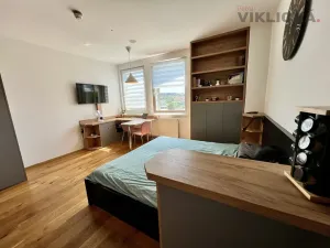 Pronájem bytu 1+kk, Praha - Vinohrady, Perucká, 27 m2