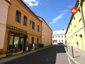Pronájem bytu 1+1, Toužim, Farní, 40 m2