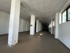 Pronájem skladu, Nelahozeves, 263 m2