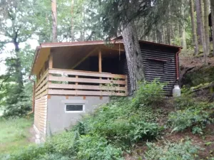 Dražba chaty, Petroupim, 38 m2