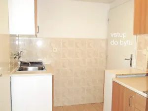 Pronájem bytu 1+kk, Brno, Mendlovo náměstí, 22 m2
