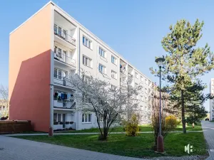 Pronájem bytu 1+1, Odolena Voda, Komenského, 35 m2