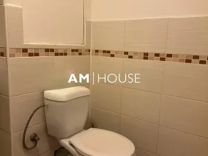 Pronájem bytu 1+1, Praha - Žižkov, Habrová, 32 m2