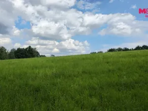 Prodej zahrady, Liberec, V Lučinách, 1050 m2