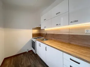 Pronájem bytu 2+1, Chomutov, Skalková, 51 m2