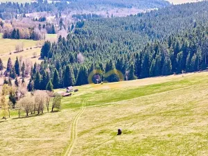 Prodej bytu 1+kk, Nové Hutě, 36 m2