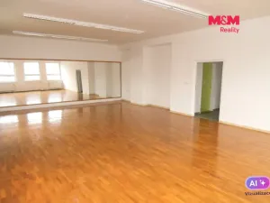 Pronájem obchodního prostoru, Ostrava - Mariánské Hory, Karasova, 335 m2