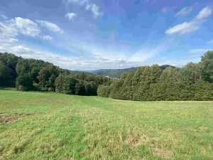 Dražba louky, Sobotín, 10593 m2