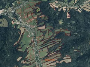 Dražba louky, Sobotín, 10593 m2