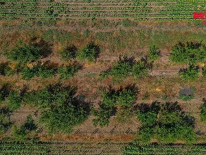 Prodej pole, Zaječí, 14490 m2
