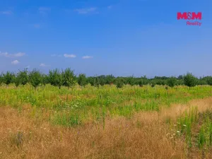 Prodej pole, Rakvice, 21280 m2