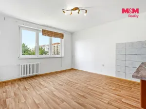 Prodej bytu 2+kk, Ústí nad Labem - Severní Terasa, Šrámkova, 40 m2