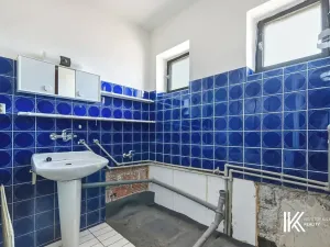 Prodej vícegeneračního domu, Chrudim, Čáslavská, 227 m2